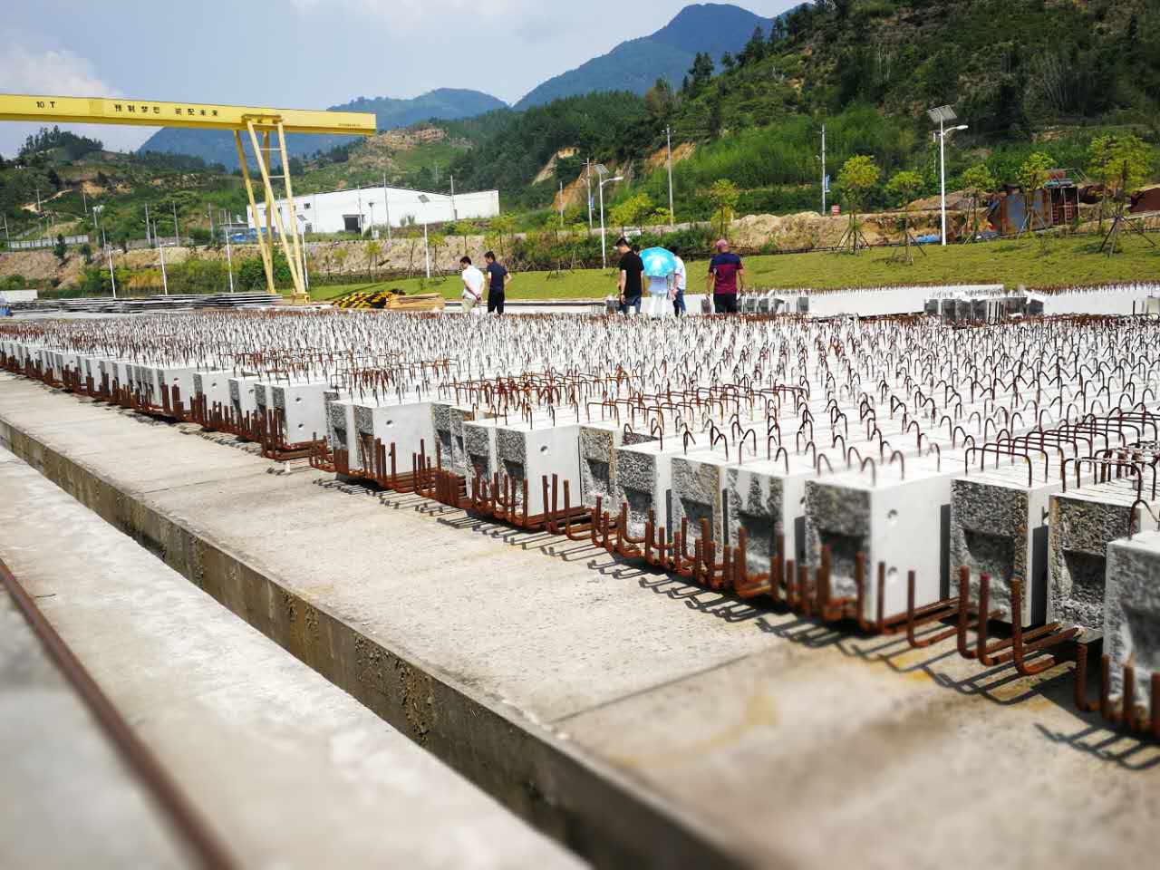 拉斯维加斯9888(中国)最新官方网站