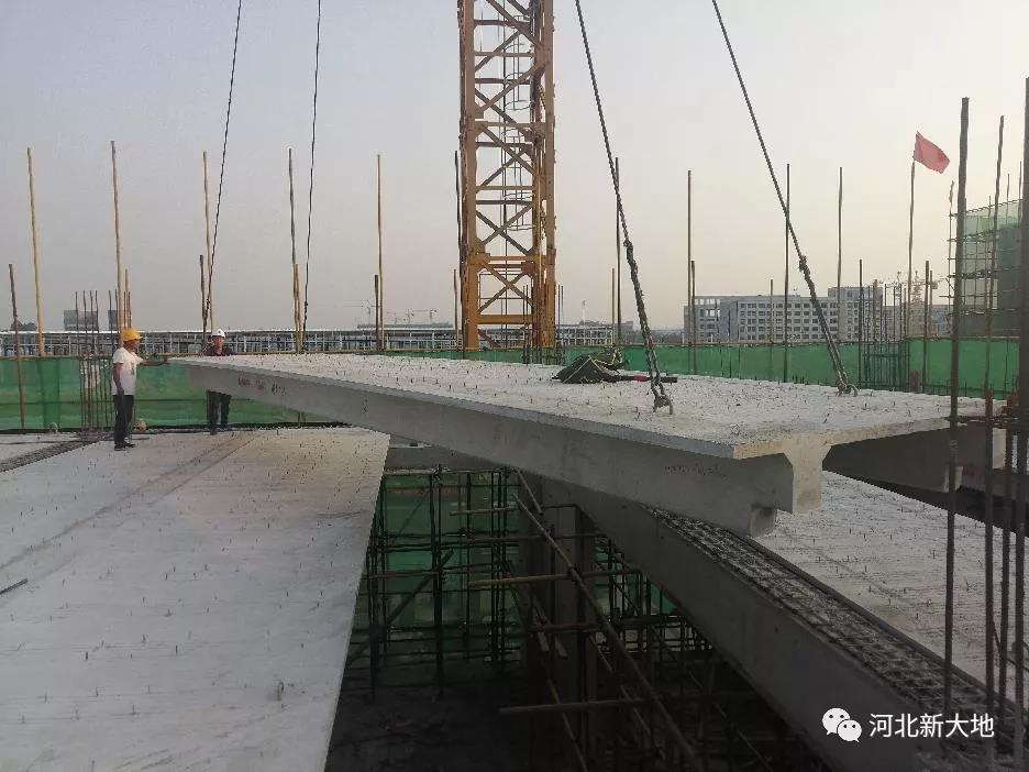 拉斯维加斯9888(中国)最新官方网站