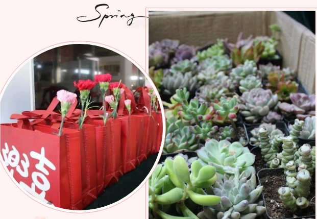 三八妇女节|河北拉斯维加斯9888祝所有女士节日快乐